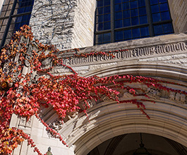 Cahn doorway with autumn leaves