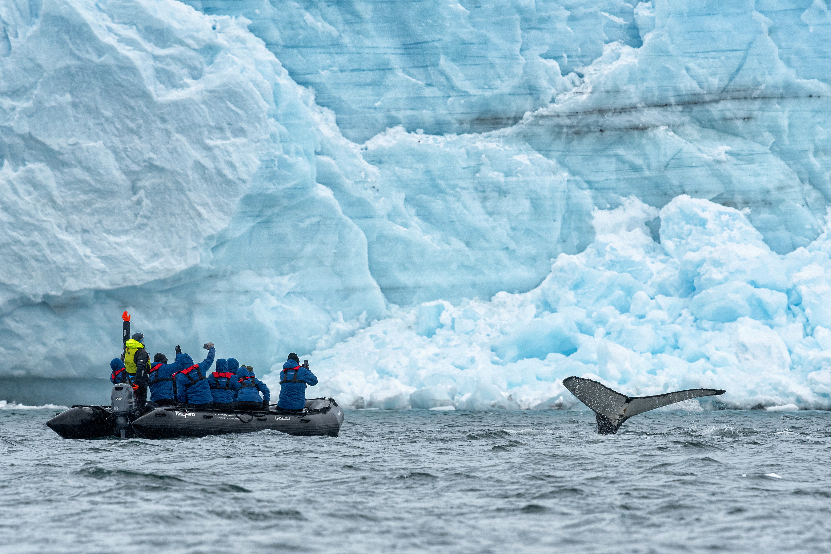 Zodiac boat, travelers and whale tale
