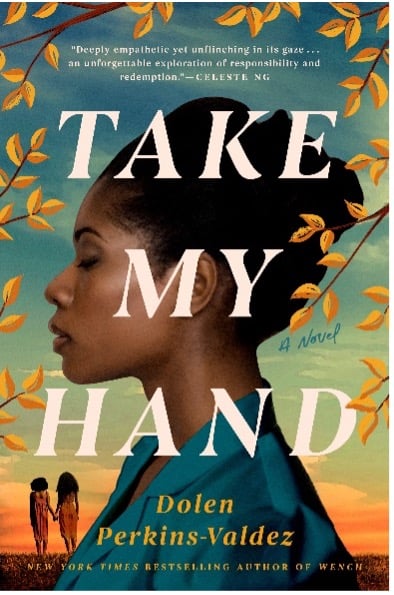 Book cover of Take My Hand by Dolen Perkins-Valde